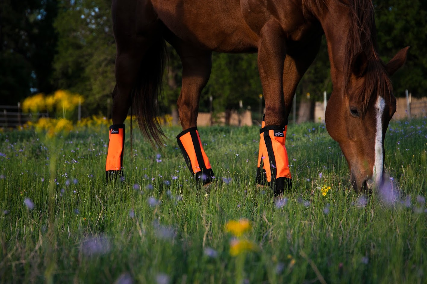 Warrior Fly Boots - SET OF FOUR