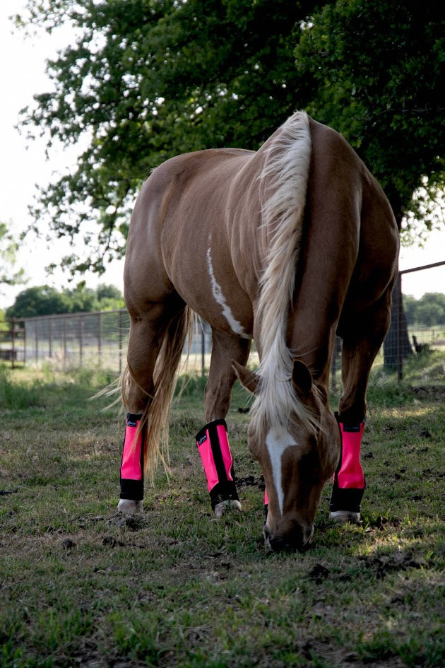 Warrior Fly Boots - SET OF FOUR