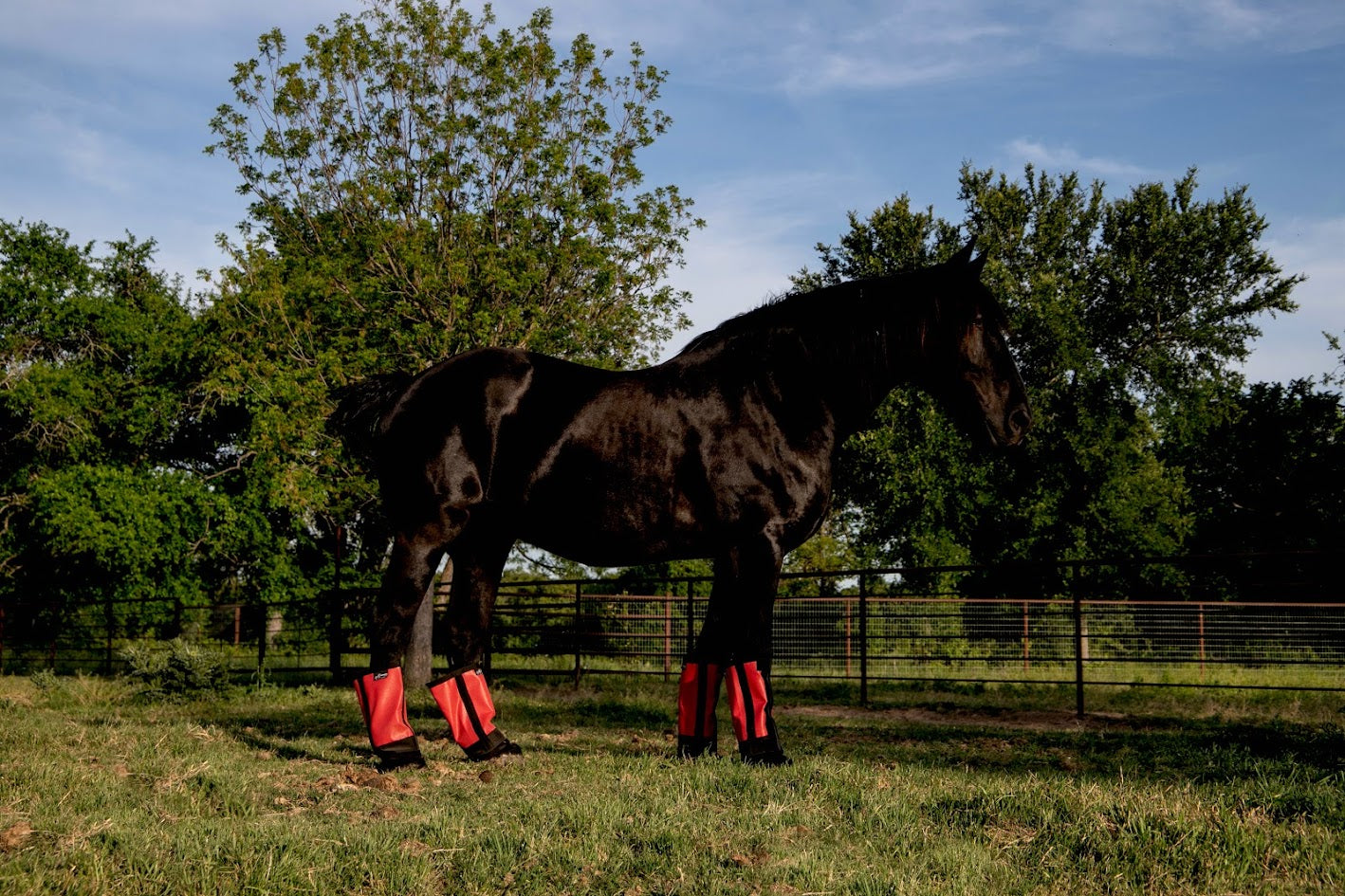 Warrior Fly Boots - SET OF FOUR