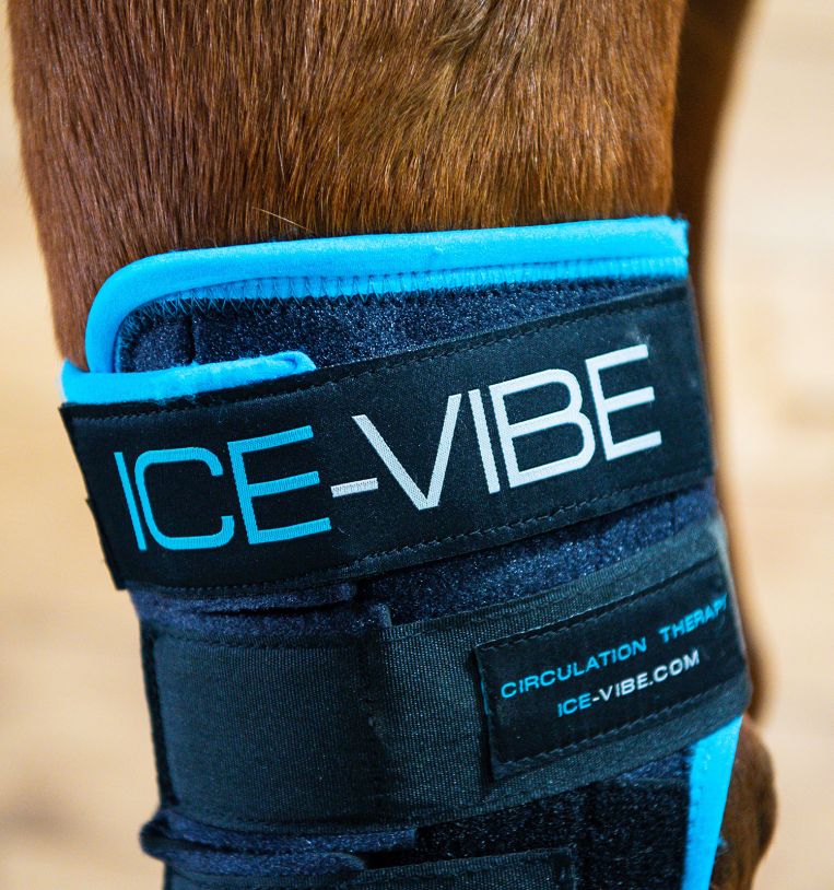 Ice-Vibe® Hock Wrap