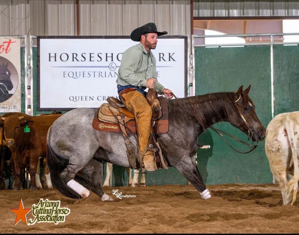 Saddle Right Pads