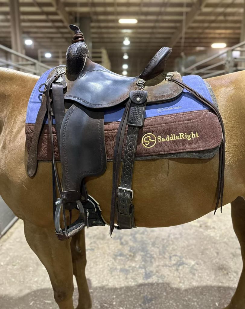Saddle Right Pads