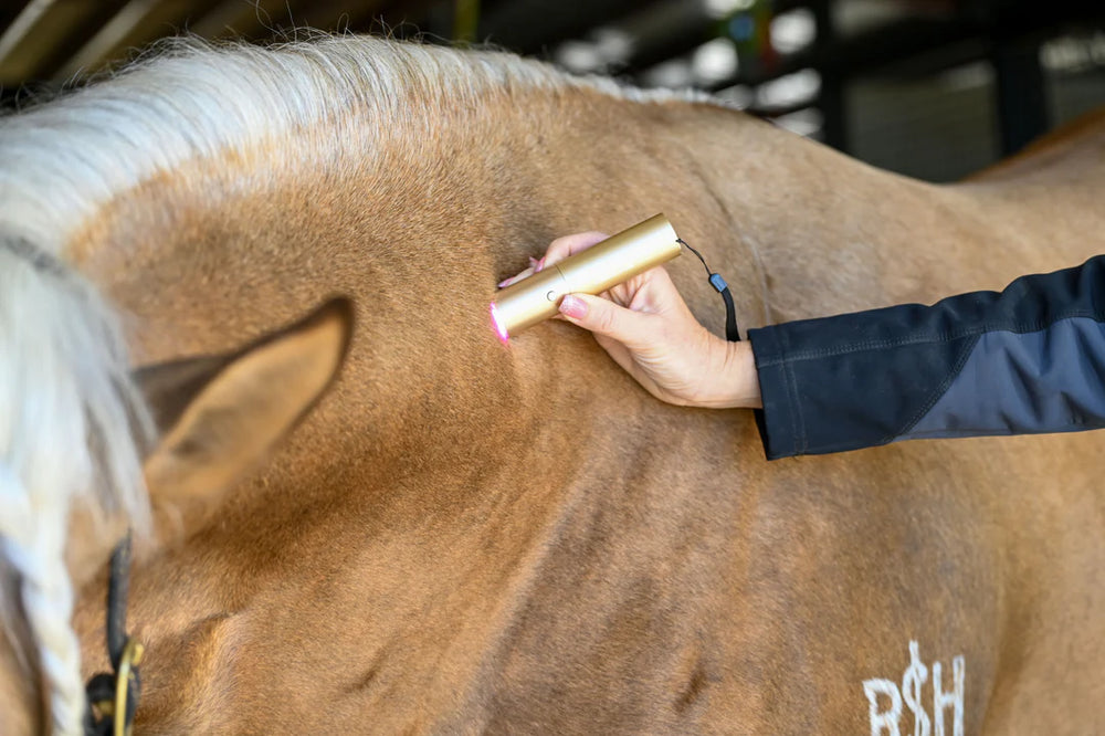 Ignite Handheld Therapy Light