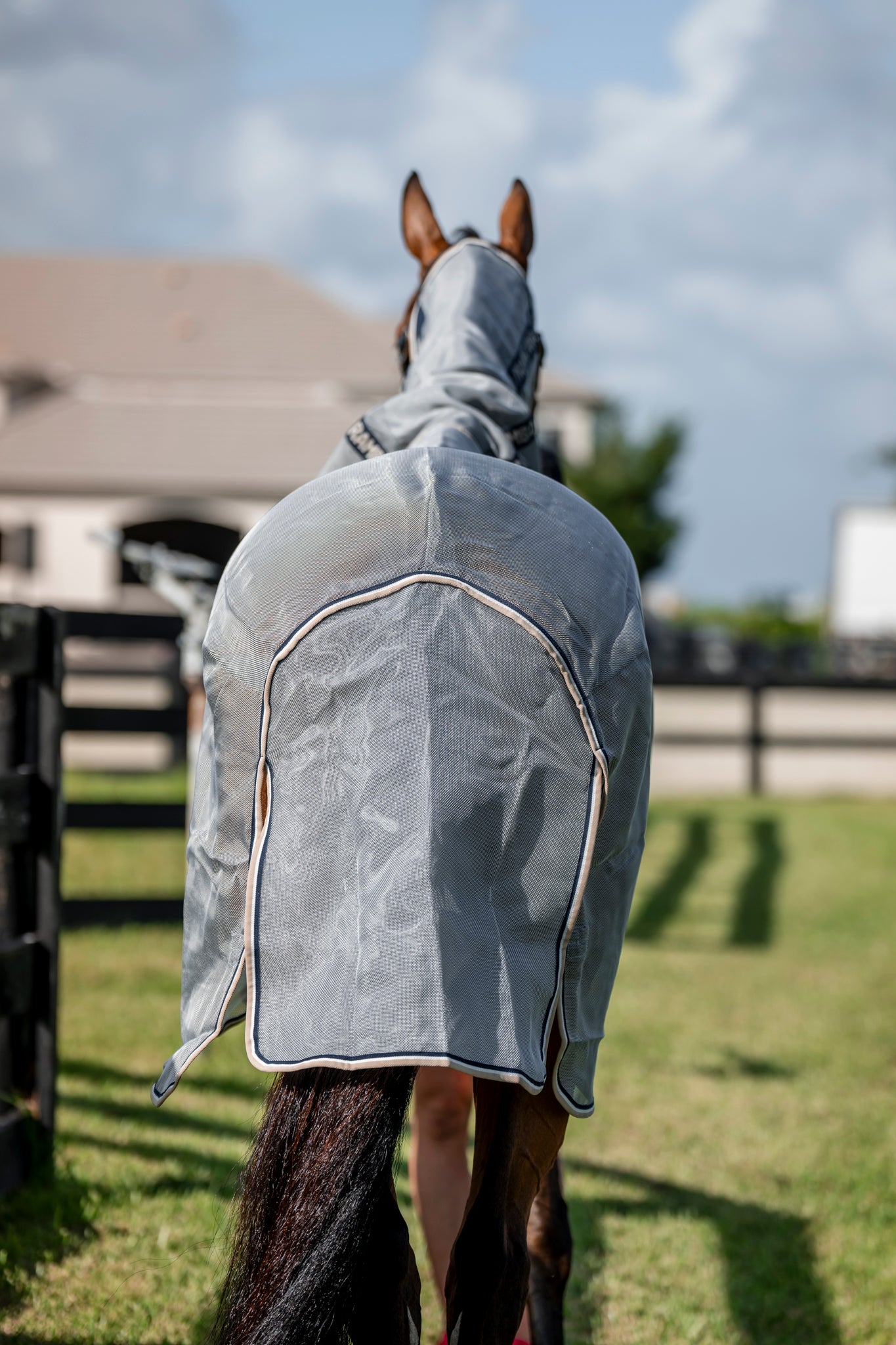 Rambo® Flybuster with No-Fly Zone™ Fly Sheet