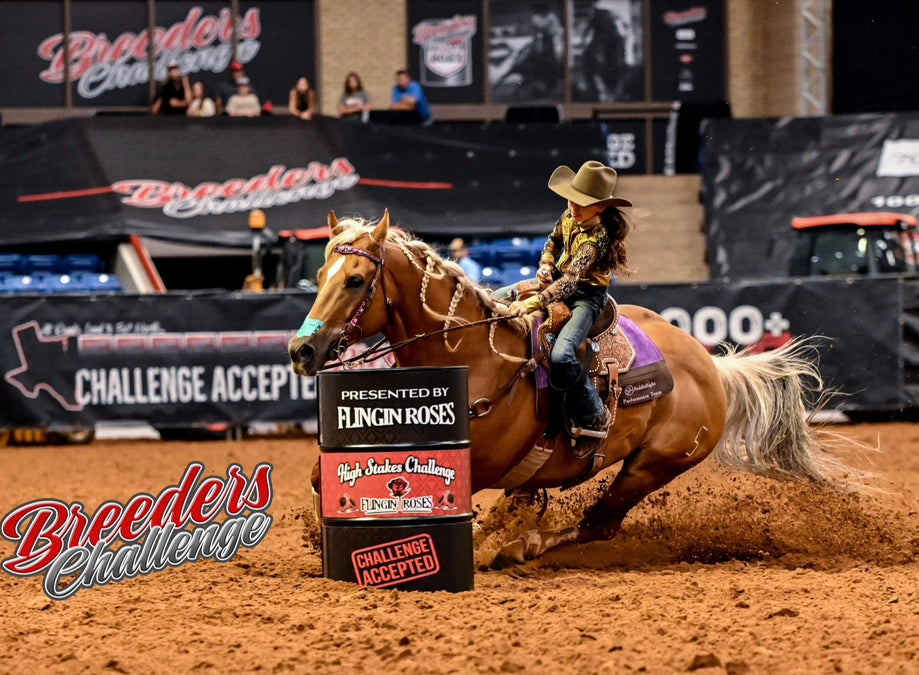 Saddle Right Pads – The Warrior Store - Main Image