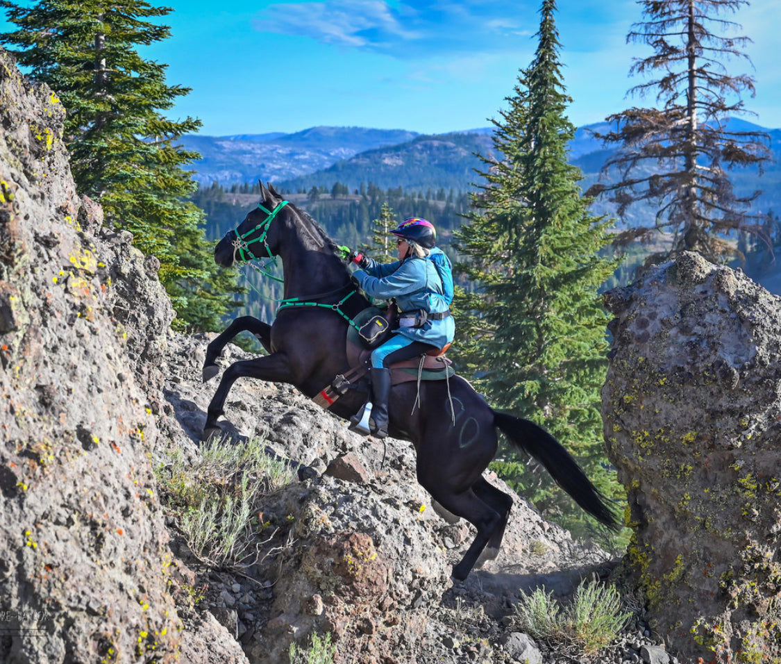Saddle Right Pads