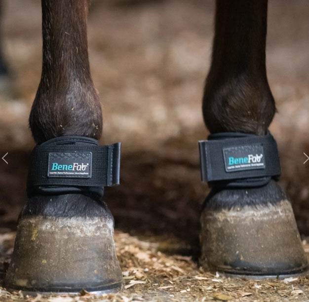 Therapeutic Pastern Wraps