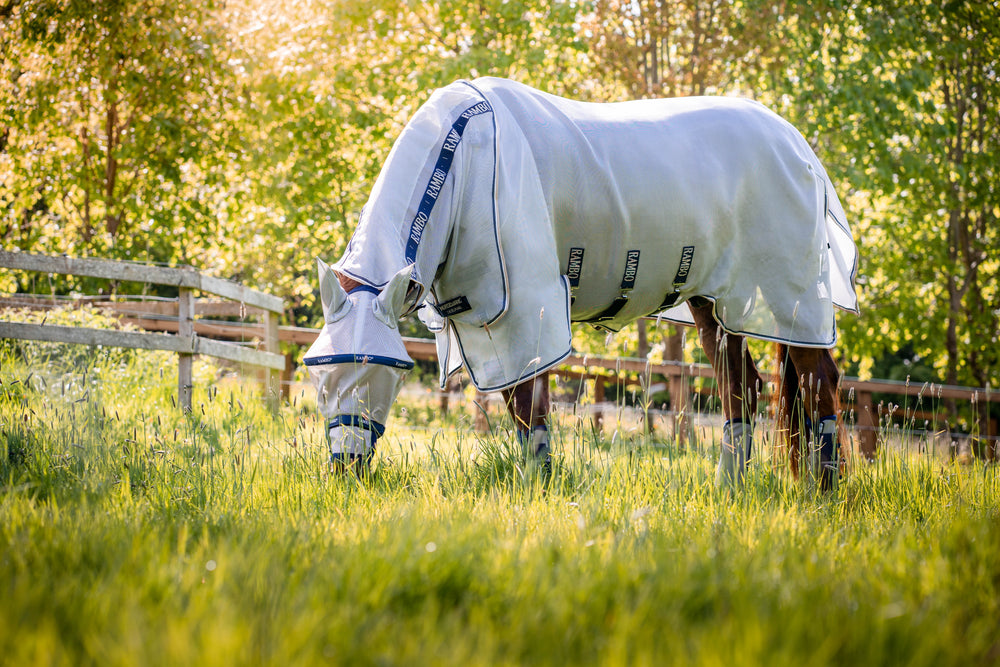 Rambo® Flybuster with No-Fly Zone™ Fly Sheet