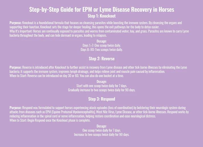 EPM or Lyme Disease Bundle
