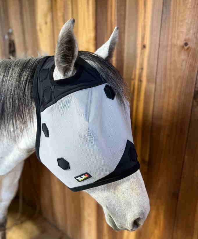 Theraputic Fly Mask (No Ears)