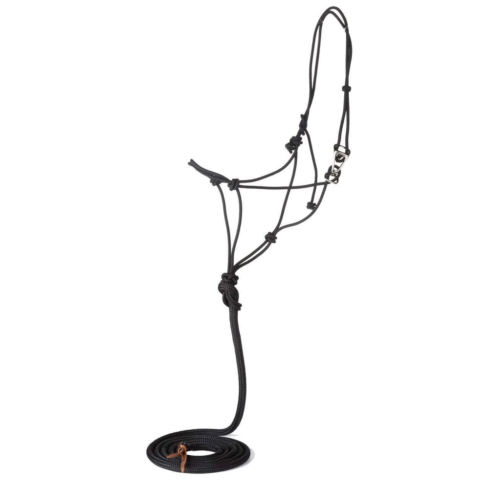Adjustible Quick Change Halter with Lead