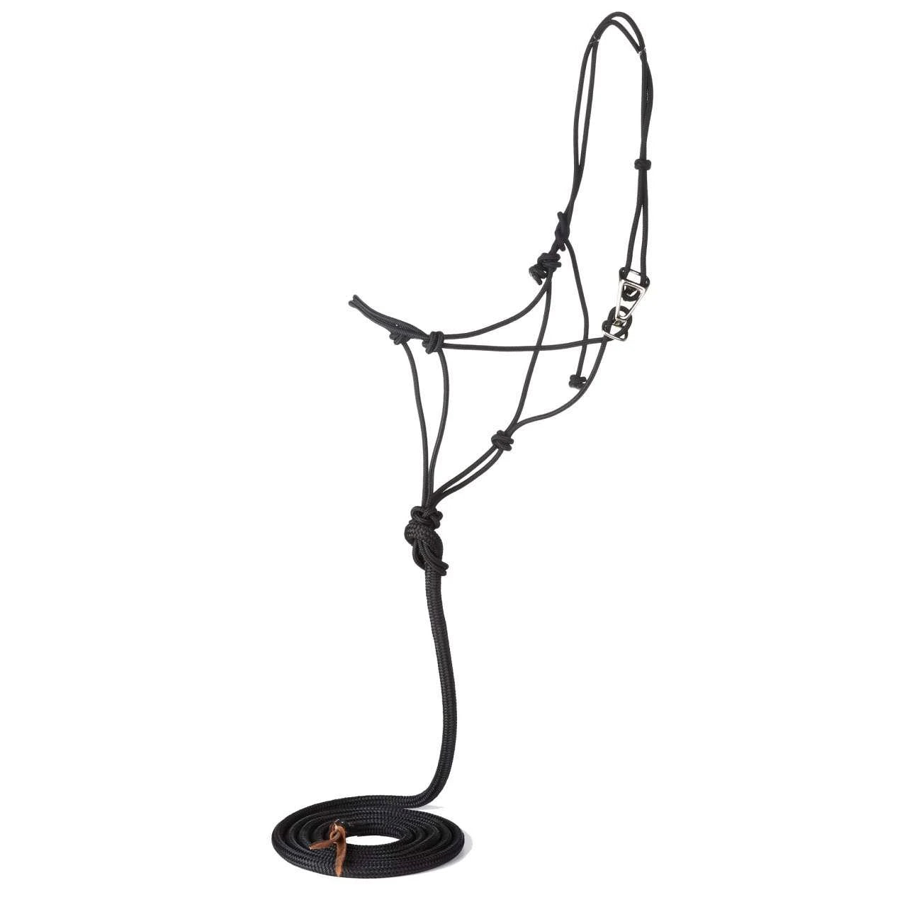 Adjustible Quick Change Halter with Lead