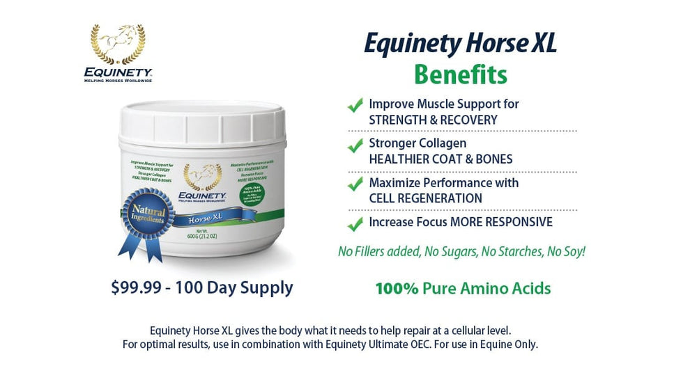 Equinety Horse XL 600 G