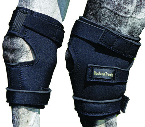 Therapeutic Hock Wraps for Horses