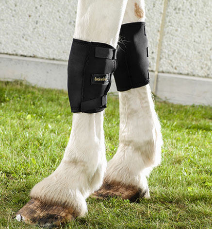 Therapeutic Horse Knee Boots - Pair